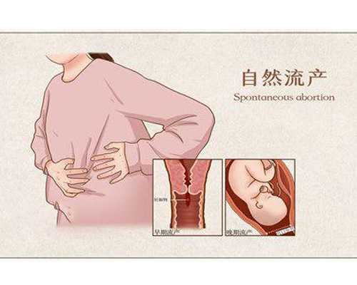 绝经后供卵试管_供卵是什么样子_湖南中信湘雅医院能做供卵试管吗?中信湘雅