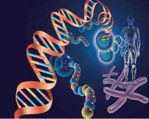 女性排卵期的计算方法有哪些(女性排卵期计算方式),人工助孕机构