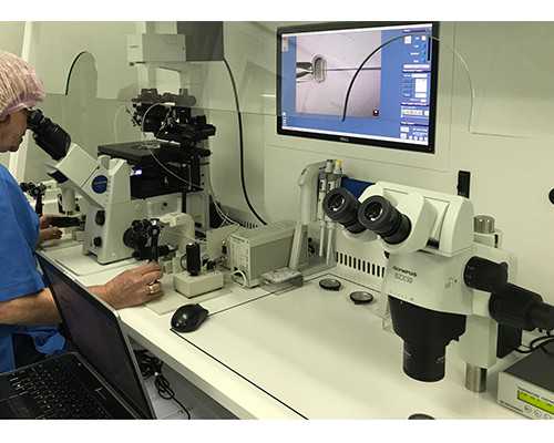 试管助孕供卵_国内怎么供卵,金贝供卵医院在哪个地方(北京供卵不排队医院)