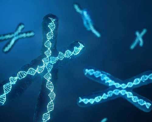 北京供卵中心：哪里有供卵中心_西安私立供卵机构