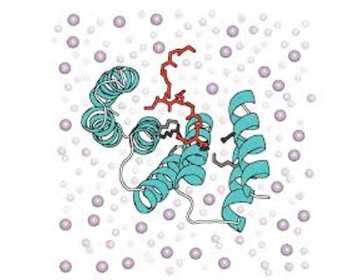 海口第一附属医院试管婴儿多少钱？