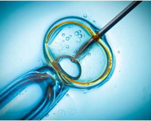 晋中供卵试管,试管婴儿供卵