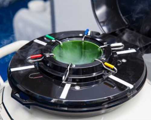 海口合法代怀-杭州代怀医院经历