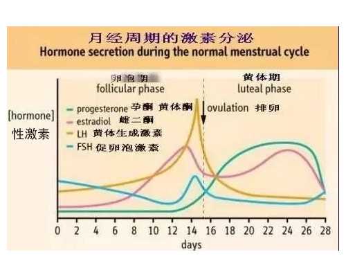 去海口做第三代试管婴儿费用是多少?,代生生子服务