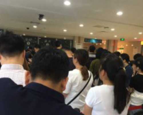 试管移植第三天鲜胚到底几细胞才算最好?,供卵代怀