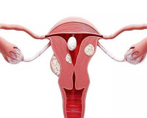 为什么夫妻不能做试管婴儿(做试管婴儿是夫妻两个自己的孩子吗)