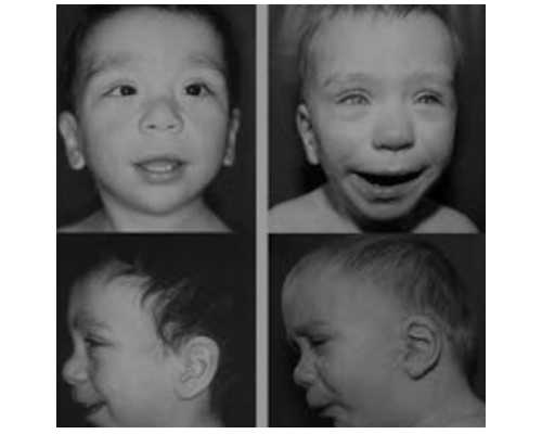 助孕机构供卵_供卵可靠吗哪里有_钟祥能做供卵试管婴儿吗?湖北省内哪些医院