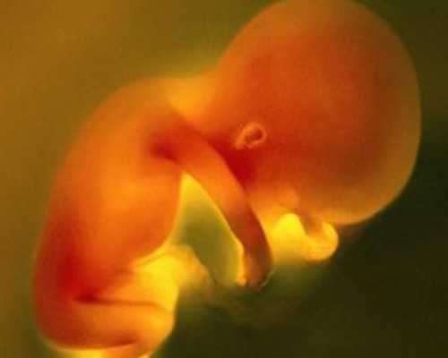 女性子宫内膜息肉可以做试管婴儿吗?,人工助孕咨询