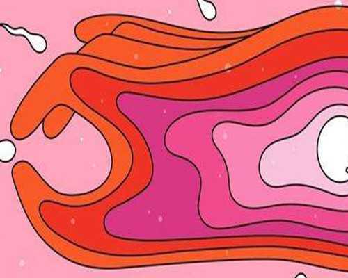 试管移植前一天可以运动吗,试管助孕代怀