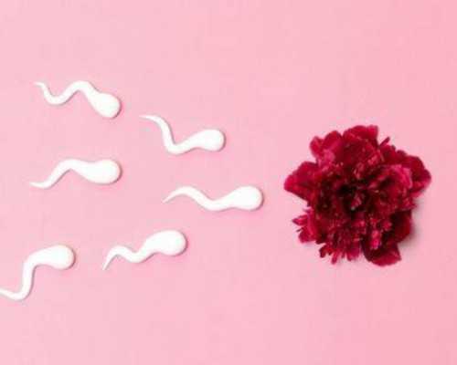 海口借卵试管助孕|海口三代试管婴儿医院排名？海口哪家试管医院好？