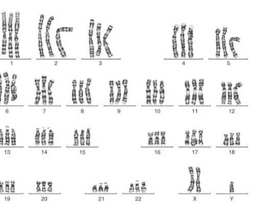 北京朝阳医院借卵生男孩优质医生成功率排行榜?_逃出神庙单机