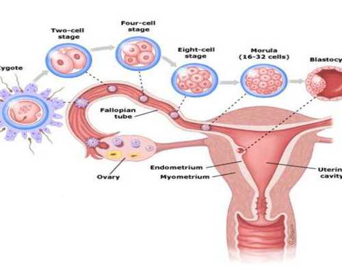 供卵最好的医院_在找供卵去哪里_高龄女性去美国做试管，需要做的检查项目有