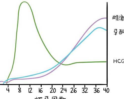 胚胎移植22天出血 移植22天出血怎么办