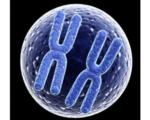 地下供卵中心_国内三代试管供卵_枣庄供卵试管婴儿的空间,正规供卵试管婴儿医