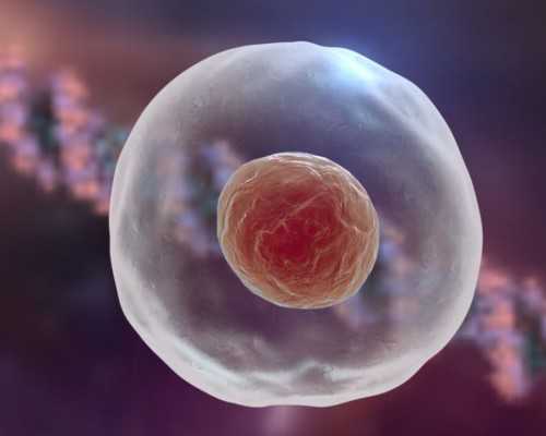 世界十大品牌奶粉排名及其介绍