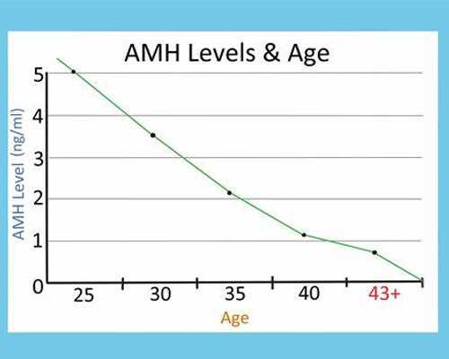 供卵合法的国家_试管借腹生子供卵,仙桃供卵试管婴儿医院排名公布,选择供卵