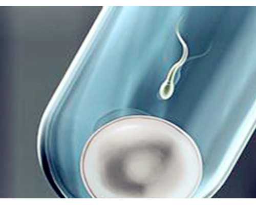 定西供卵试管（淮安供卵试管）