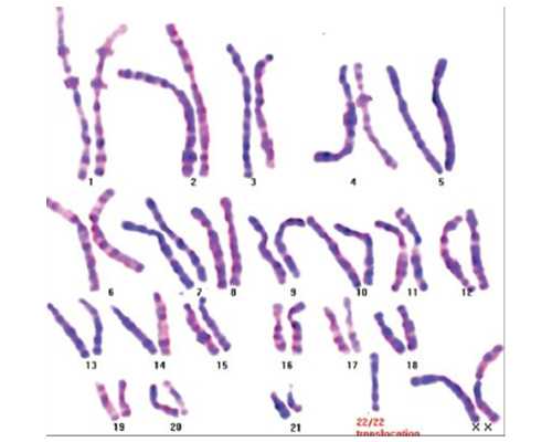 供卵的孩子_供卵正规吗_江门市中心医院详细资料公布，附供卵生男孩试管患者