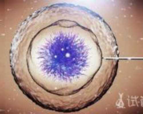 绝经后供卵试管_供卵是什么样子,麻城有供卵的试管医院吗?