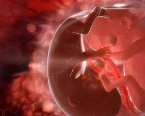 供卵助孕中心_地下供卵哪家靠谱,北京供卵试管前十排名动态更新,2026
供卵试