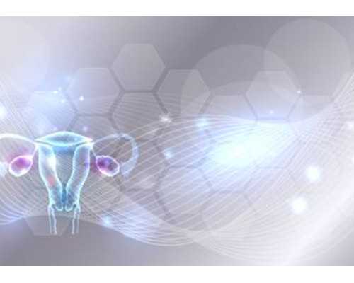 海口试管婴儿技术怎么样？