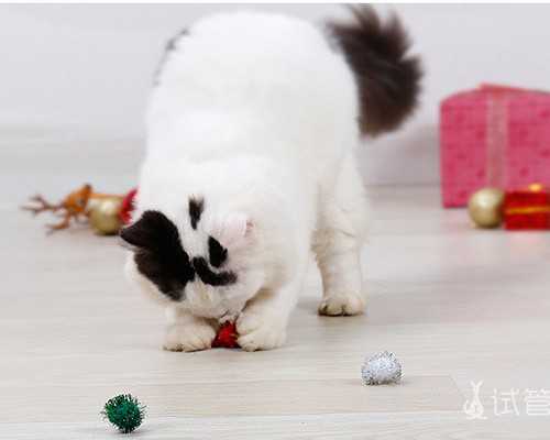 有供卵试管么_有名供卵试管,北京三代供卵试管医院排名，内含供卵费用明细