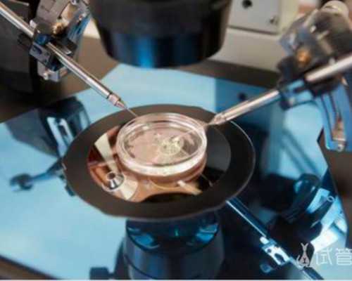 海口捐卵助孕妈妈-浙江有没捐卵子的