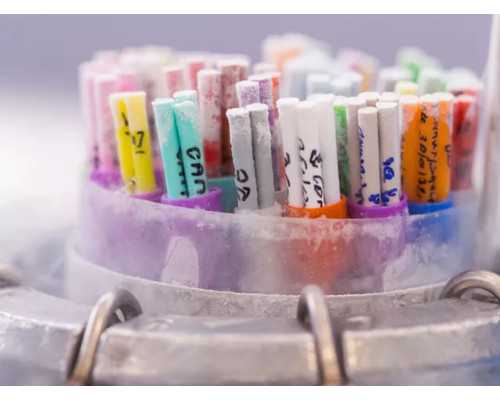 做无创dna的最佳时间揭秘,供卵代生咨询