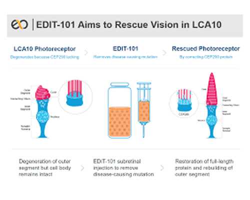试管供卵包生男孩_供卵公司,阜阳合法的供卵机构有哪些？三代供卵试管生男孩