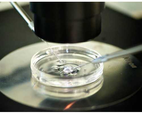 供卵媒体联系方式_医院供卵价格,北京供卵试管包生儿子需要多少钱？内含供精