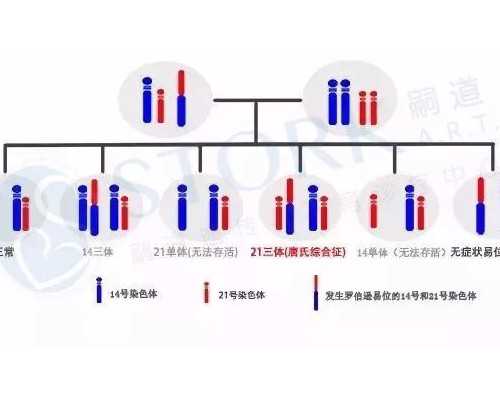 龙凤胎起名字大全2026（给你最有创意的龙凤胎名字）