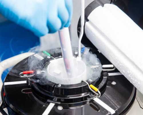 黄体酮类预防孕流产