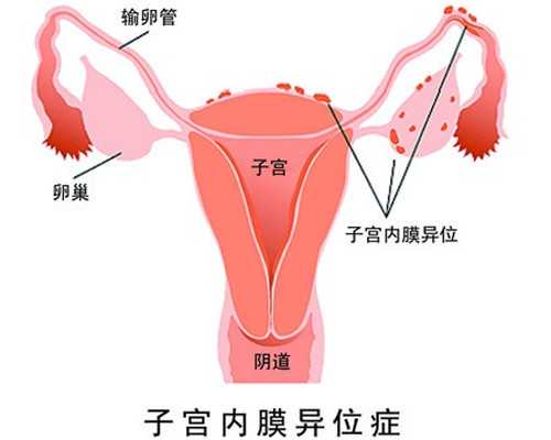 找供卵志愿者_供卵试管医院_金昌供卵中心兰梦试管徴,九江供卵中心兰梦试管徴