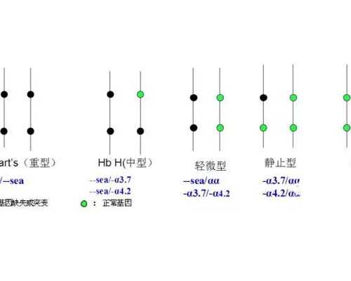 海口怎么捐卵子