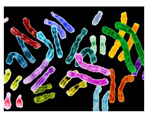 青岛助孕一年多少钱 青岛试管婴儿交流群帮你解开试管婴儿误区 ‘梦见和别的