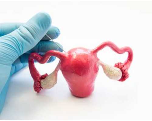 晋中供卵试管,试管婴儿供卵