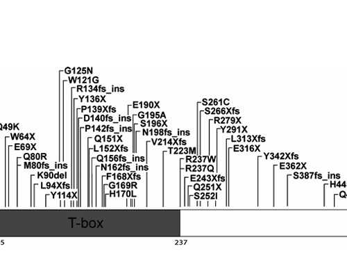 供卵哪里比较靠谱_供卵不排队_威它尼医院门诊试管婴儿费用攻略大全