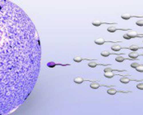 北京供卵中心：哪里有供卵中心_西安私立供卵机构