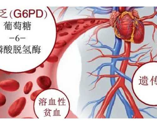 海口代生宝宝成功率|海口供卵试管男孩，海口试管婴儿怎么做的全过程