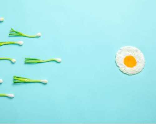 海口知名代孕哪家好|海口供卵第三代试管婴儿排名，2026年已更新|海南哪家做第