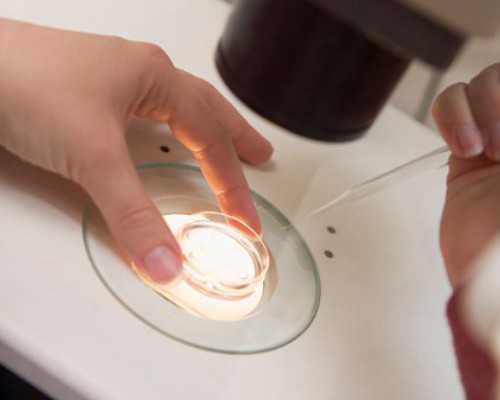 海口代生地址-浙江有代生机构吗