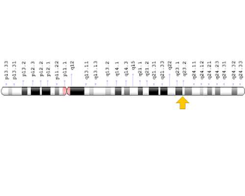延安供卵试管,供卵试管费用