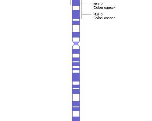 海口怎样捐卵的