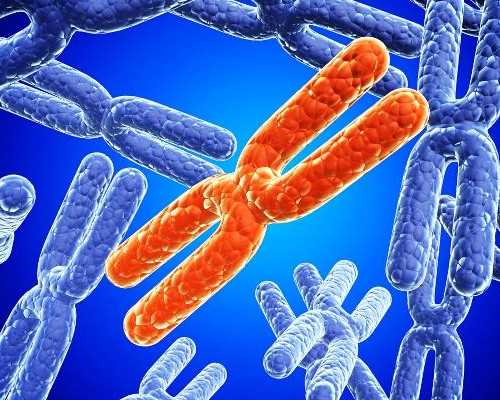 上海三代试管医院最新名单和成功率,供卵代生套餐