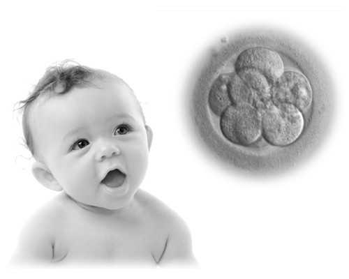 北京三医院供卵（北京供卵中心）_45岁供卵一次成功