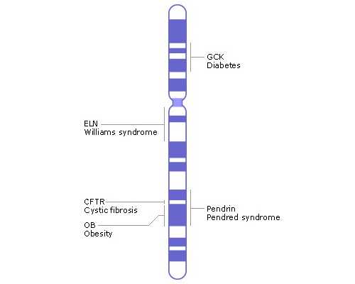 海口哪个医院做试管最好(海口哪个医院做三代试管)