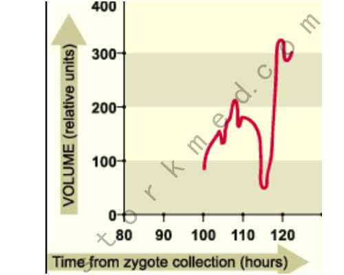 延安供卵试管,供卵试管费用