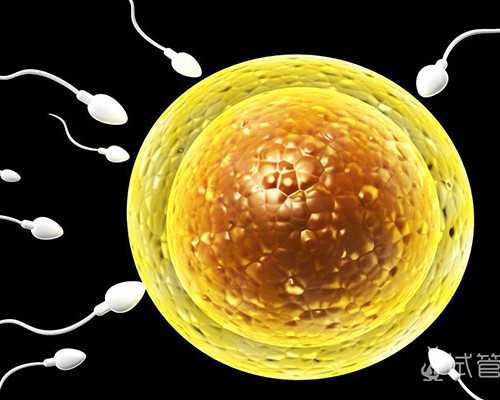 济南助孕要多少钱 济南山大试管成功率高不高?怎样正确看待试管婴儿成功率