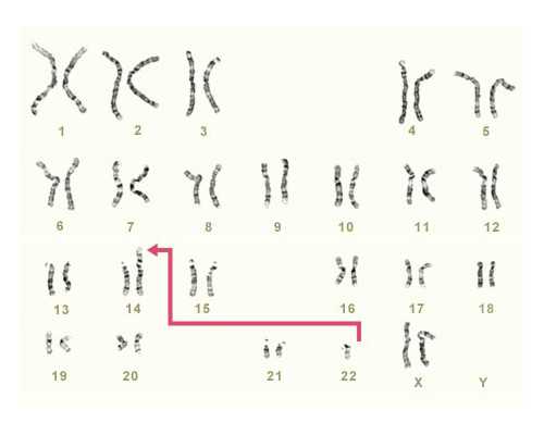 海口试管婴儿医院排名！附海口试管婴儿医院成功率明细！