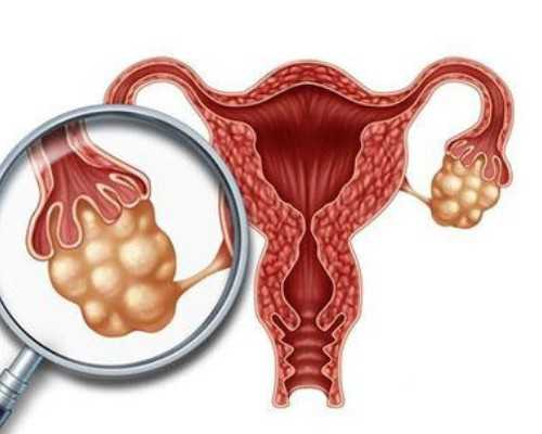 海口代怀网价格表|海口供卵试管男孩，海口试管婴儿怎么做的全过程